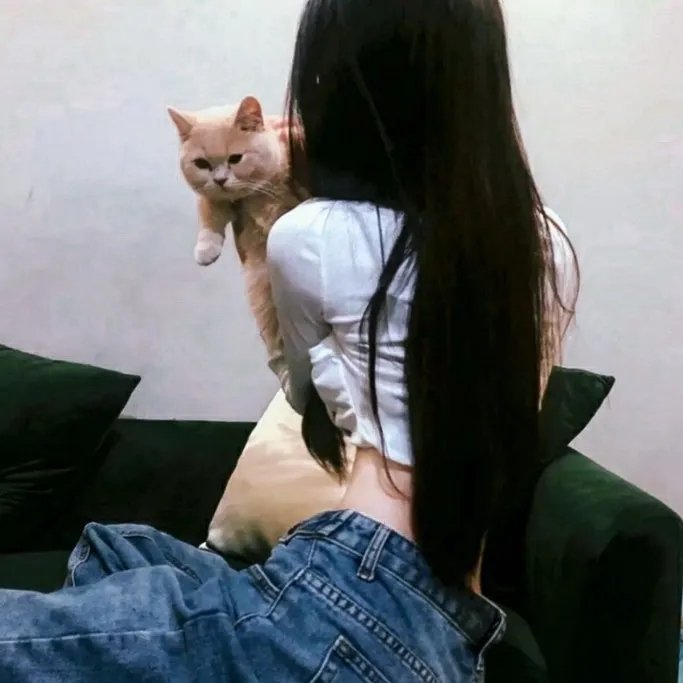 爸妈来自二次元